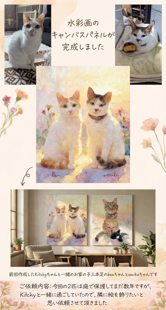 保護猫、三本足のbonちゃんとomikeちゃん