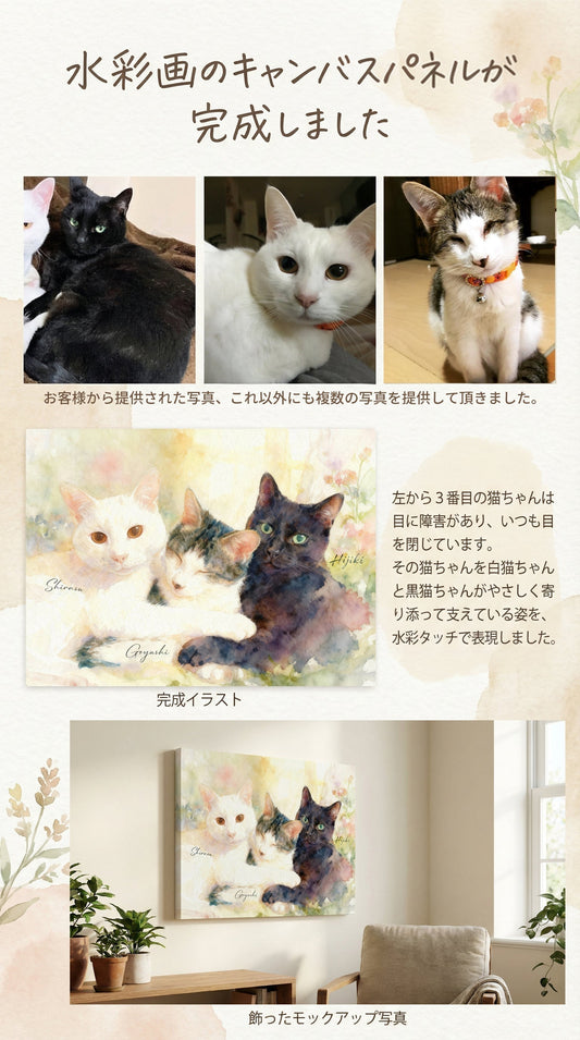 目に障害がある猫ちゃんと白猫と黒猫ちゃん