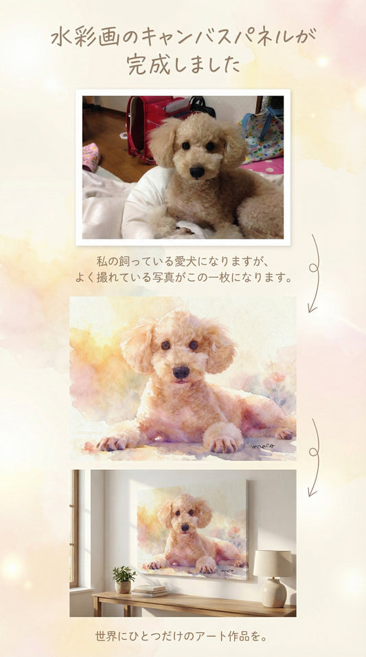 トイ・プードルのmokoちゃん